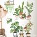 �E�H�[���X�e�b�J�[ �ygreen plants�z �A�ؔ� ������� �k�� �� �� �A�� �O���[�� �� �C���e���A �V�[�� diy �ǎ� �V�[�� �� �L�b�`���g�C�� �Q�� ���� ���R