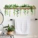 �E�H�[���X�e�b�J�[ �A�� �� wallshelf &amp; plants 5 �� �t �O���[�� �� ���� �J�t�F �k�� �I�V���� diy ���r���O �L�b�`�� �g�C�� �E�H�[���V�[�� �Ǐ���