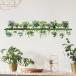 �E�H�[���X�e�b�J�[ �A�� �� �� wallshelf &amp; plants 8 �t �O���[�� �� ���� �J�t�F �k�� �I�V���� diy ���r���O �L�b�`�� �g�C�� �E�H�[���V�[�� �Ǐ���