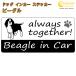  Beagle beagle in Car стикер принт модель dog in cardo Guin машина собака наклейка переводная картинка 