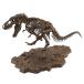 imajina Lee каркас tilanosaurus1/32 шкала пластиковая модель 197694