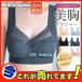 �u���W���[ ��������������u�� �V�[�����X �p�b�g�t�� �m�����C���[ �t���J�b�v ������ ���� ���S�n �P�i �e�� �e�� ������ �傫���T�C�Y