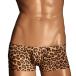  чай M коллекция TM COLLECTION sexy нижний одежда нижнее белье бесплатная доставка сделано в Японии TM мужской N-3 варьете - образец Rollei z Boxer M размер 