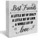 ͧΰ ܥå Best Friends a Little Bit of Crazy ֥å եϥ ۡॷ ǥץ쥤 5x5