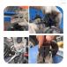 �X�e�A�����O �i�b�N�� �X���b�g �X�v���b�_�[ �T�X�y���V�����X�g���b�g ���O�� ���� �ėp �_�u���G���h�݌v ��Ɨp��܂ƃ����`�t�� �֘A�摜2