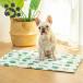 Summer Cooling Ice Mat Gel Soft Ice Pad Washable Cartoon Print Dogs Sleeping Bed for Small Large Dog Cat Pet Accessoires