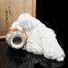  10 2 плата sake . рисовое поле хурма правый .. произведение [ futoshi белый .. гравюра украшение ] нет форма культура состояние государство указание украшение произведение искусства керамика _[I122826023] б/у 