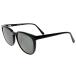 Ray-Ban RayBan TRADITIONALS HAMILTON Hamilton #11 солнцезащитные очки пластик чёрный унисекс [M180126007] б/у 
