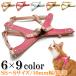  Harness кошка модный страховочный ремень .. semi заказ тип X( X ) Harness 10mm ширина S размер 