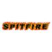 SPITFIRE STICKERspito fire - стикер FLAME SCRIPT LG скейтборд скейтборд 