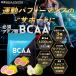 BCAA �p�E�_�[ �l�H�Ö����s�g�p �T�v�� 500g �n���N�t�@�N�^�[ �K�{�A�~�m�_ ���A���j�� �x�^�C�� ���Y �T�v�������g �j�� ���� �g���[�j���O ���� �֘A�摜1