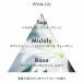 IKUE ��d �V�����v�[���g���[�g�����g �g���x���T�C�Y(�e50mL)��2��Z�b�g(�z���C�g�����[�A�t���[�e�B�t���[�����e1�Z�b�g) ���{�� ���[���֑������� �C�N�G �֘A�摜4