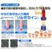 �\���{ �X�p�C�N �^�t�K�[�h 22-29cm 61221 �J�b�v�C���\�[�� ���{�� SORBO �O�i���Y ���[���֑������� ���~�� �Ռ��z�� ���O�r�[ �T�b�J�[ �A���t�g �z�b�P�[ �֘A�摜2