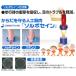 �\���{ �q�[�� 22-29cm 61264 ���{�� SORBO ���[���� �������� �n�[�t �C���\�[�� ������ �N�b�V���� �A�L���X�F �Ռ��z�� �p�b�h ���~�� ������ �ی� �֘A�摜1