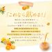�T�W�[�W���[�X �T�W�[ ���� SajiOne �y�����z ���k�u�����h 1000ml 2�{�Z�b�g �S�� �I�����W �䂸 �֘A�摜4