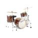 CANOPUS  R.F.M.  Standard Kit Psychedelic Red