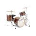 CANOPUS NV60M2 Standard Kit Psychedelic Red