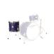 CANOPUS Ash 15x16 Floor Tom Purple Oil