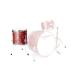 CANOPUS Ash 15x16 Floor Tom Vermilion Oil