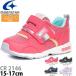 ���[���X�^�[ �L�����b�g 15-17cm Moon Star Carrot C2146 �L�b�Y �X�j�[�J�[ �V���[�Y �L�����b�g �q���C �j�̎q ���̎q �v���[���g ��������