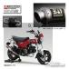 * стандартный товар (YOSHIMURA) 110A-45H-5X30 Dax125(23-25) {SSF атлас отделка покрытие } механизм искривление GP-MAGNUM TYPE-DOWN Dux muffler Yoshimura [ аксессуары для мотоцикла ]
