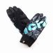 ( Special распродажа )bi Anne ki(BIANCHI) свет winter перчатка (JP222R2101)