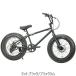 ( Special распродажа )( магазин квитанция стоимость доставки скидка ) Rainbow (RAINBOW) BRONX 20 DD(1x7s) фэтбайк 20~