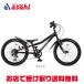 [ I tes]D-Bike OVERAXEL(D мотоцикл over акселератор )20 дюймовый детский велосипед 