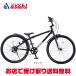 [ I tes]D-Bike BM XSTREET(D мотоцикл Be M ek Street )26 дюймовый детский велосипед 