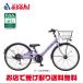 [ регион определенные товары ][ круг камень ] ride cell [RSP226R]22 дюймовый 6 ступени переключение скоростей автоматический свет детский велосипед -25