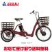 [ Bridgestone ]lakto Wagon [RW0B45]20/16 дюймовый электромобиль трехколесный велосипед -25