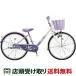 [ outlet 1 пункт ограничение ] ребенок велосипед Bridgestone 24 дюймовый BRIDGESTONE eko Pal 24 [EPL401]