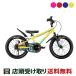 D мотоцикл D-Bike D-Bike Master+ 16 D- мотоцикл тормозные колодки плюс 16 мужчина ребенок велосипед ребенок 16 дюймовый 3 лет ~6 лет [D-Bike Master+ 16]