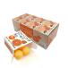  training f-sen chewing gum (4 bead x24 box ) orange taste 