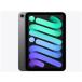 * Apple / APPLE iPad mini 8.3 дюймовый Wi-Fi 128GB 2024 год осень модель MXN63J/A [ Space серый ][ планшетный компьютер ][ бесплатная доставка ]
