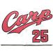  превосходный рассылка снят с производства Hiroshima Toyo Carp Carp новый ...25 копия форма Home 2009-2022 ver. RE