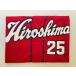  превосходный рассылка снят с производства Hiroshima Toyo Carp Carp новый ...25 копия форма visitor 2009-2022 ver. L размер 