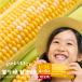  Shizuoka prefecture production corn .... Taro (............)L~3L size 4~6 pcs insertion .[... for ] period limited amount [ free shipping ]