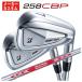 [ 1 шт. из покупка возможность * производитель custom ] Bridgestone Golf 258CBP железный N.S.PROmo-das3 TOUR 120 вал 