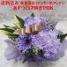 数量限定お任せ パープル (ラベンダー色) アレンジメント1番【17時まであすつく対応】