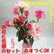 花束とモッジ―のソフト花瓶とのセットです【17時まであすつく対応】
