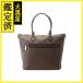  Louis * Vuitton sareyaGM N51181 [430]