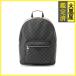 LOUIS VUITTON Louis Vuitton рюкзак * рюкзак joshu Damier *gla Fit черный / серый N41473