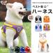  dog Harness cat Lead the best stylish dog for cat for mesh .... shines wear Harness harness pet walk 