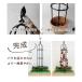 �o���p �x�� ���[�Y�X�^�C�� �f�R���p�C�v ���� 150cm 1�{ diy �o�� �΂� �t�F���X �I�x���X�N �g�����X ���| �ƒ�؉� daim ���r�j�[�� �֘A�摜4
