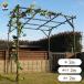 daim garden UGG li pipe fruit tree shelves set 2m 2m pergola garden arch wisteria trellis .. shelves fruit tree shelves fruit shelves grape shelves grape shelves .. shelves grape ..