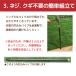 �Ԃǂ��I �p�[�S�� �ʎ��I 2m�~2m �K�[�f���A�[�` �L�E�C�I diy �K�[�f���A�O���p�C�v �ʎ��I�Z�b�gdaim ���r�j�[�� �֘A�摜4