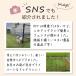 �h�b�O���� �t�F���X ���O ����90cm �S��20m �h�A�t�� �T�[�N�� �h�A�t�h�b�O�����Z�b�g daim ���r�j�[�� ���T�t�� �֘A�摜3