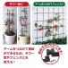 daim ���݌^�g�����X ��60cm ����120cm �鐫�A�� �K�N �g�����X �o�� �΂� �v�����^�[ �x�����_ �g�����X ���| �g�ݗ��ĕs�v ���r�j�[�� �֘A�摜2