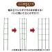 ��ؒI �I ����120cm �x���I �g�}�g �L���E�� �S�[�� �鐫�A�� ���� �x�� �炭���� daim ���r�j�[�� �֘A�摜1